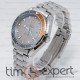 Omega Seamaster Co-Axial Gray-Silver-Steel
